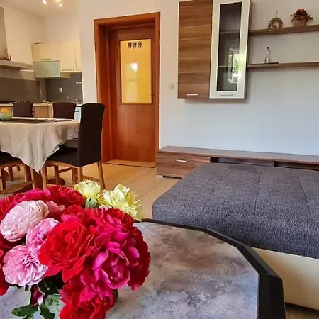 Apartment Lu-ka 2 Pakostane